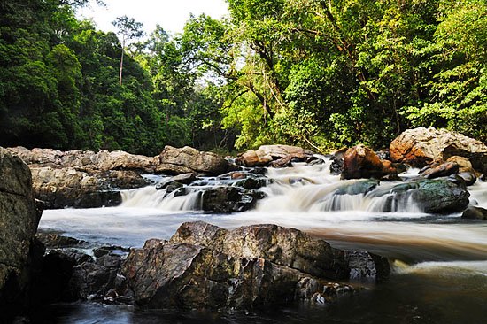 Lata Berkoh Waterfall Jerantut Pahang
